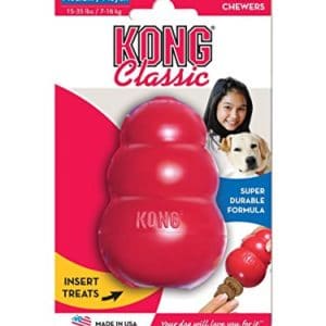 Kong Classic dog Toy