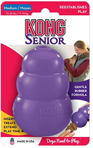 Kong Senior Dog Toy